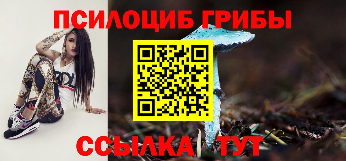 купить  цена  Галлюциногенные грибы прущие грибы  Вход с VPN  Галлюциногенные грибы прущие грибы  Гусев 